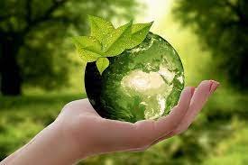 CAMPUS GREEN AUDIT
